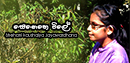 FM Derana Music